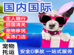 芒市航空快运国际宠物托运 【国